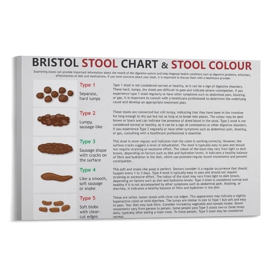 Bristol Stool Chart Printable Version Bristol Stool Chart Printable Version
