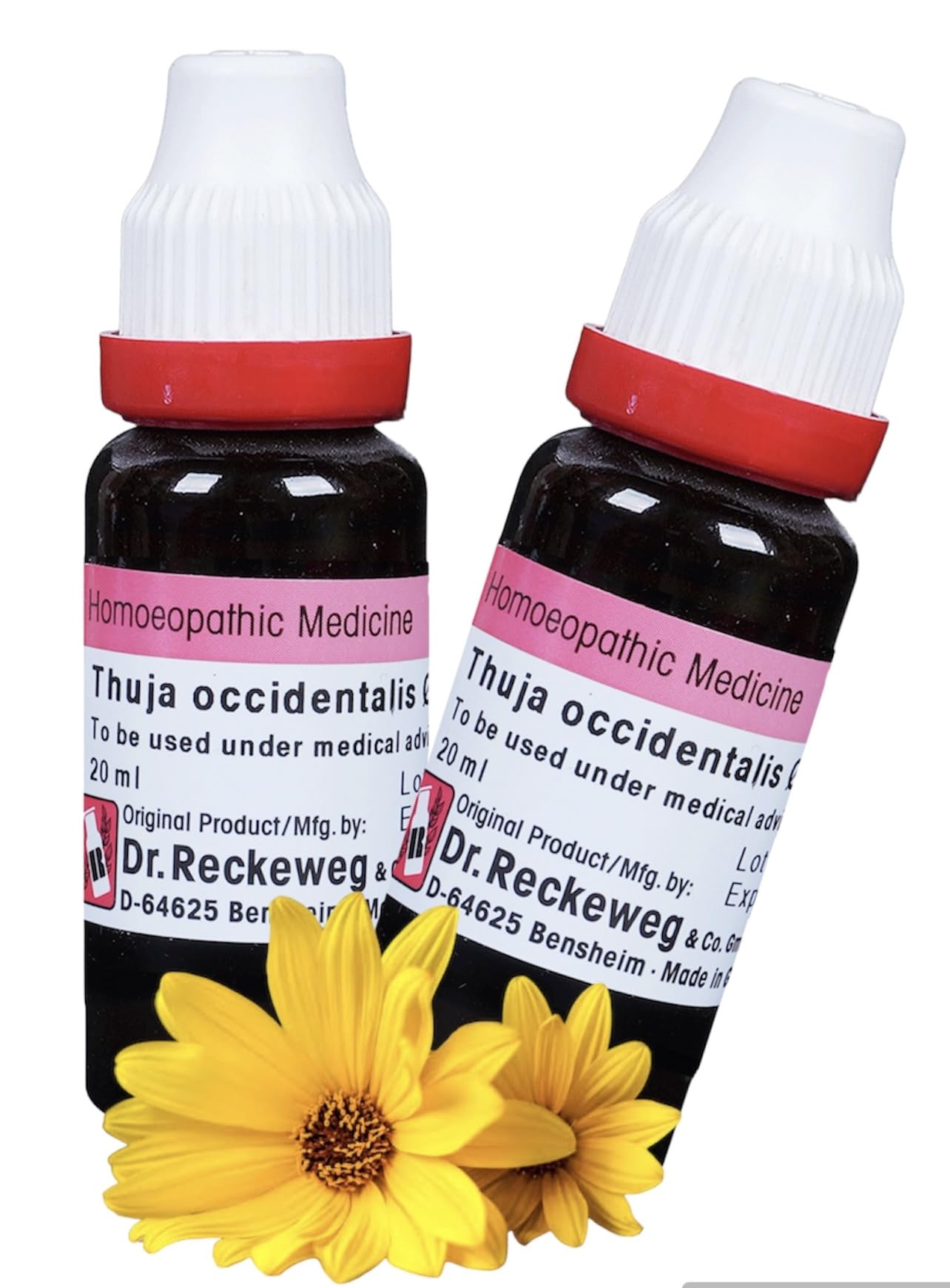 Thuja occidentalis MT, 20ml (Mother Tincture Q) (B0CR7Q9XVL) Amazon Price History, Amazon Price Tracker