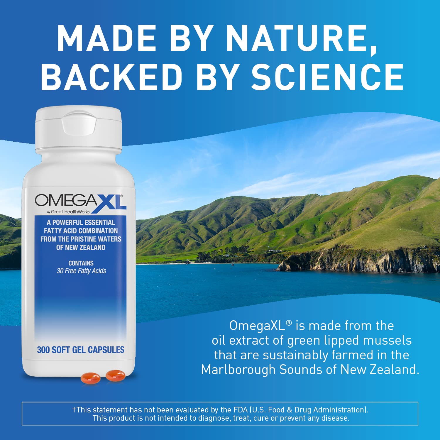 Buy OmegaXL Natural Joint & Muscle Health, Mobility Support ...