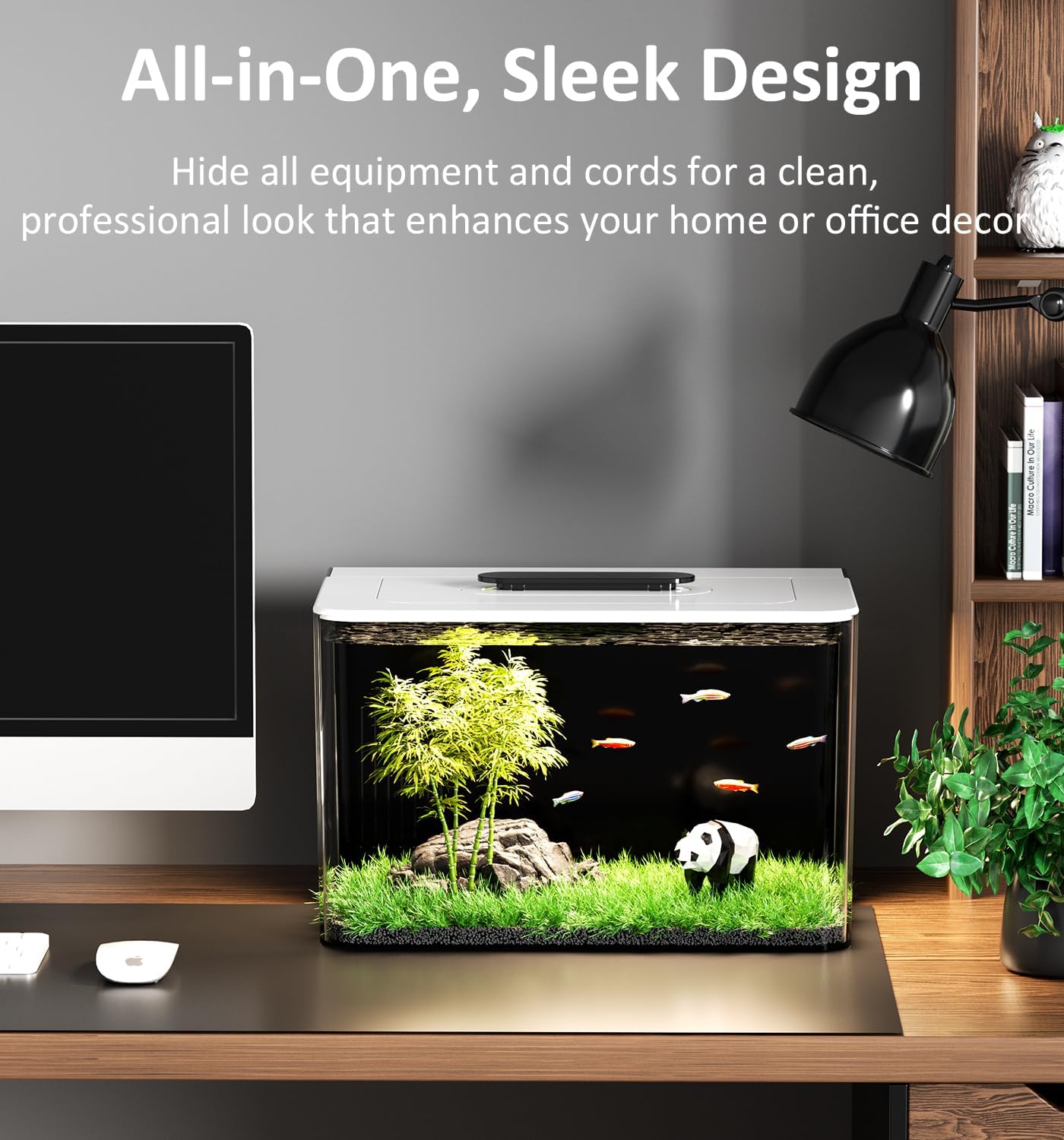 Betta Fish Tank Kit 2.5 Gallon Aquarium with Hidden Filtration, Light, Lid, Small Acrylic Tank for Beta, Shrimp, Guppy