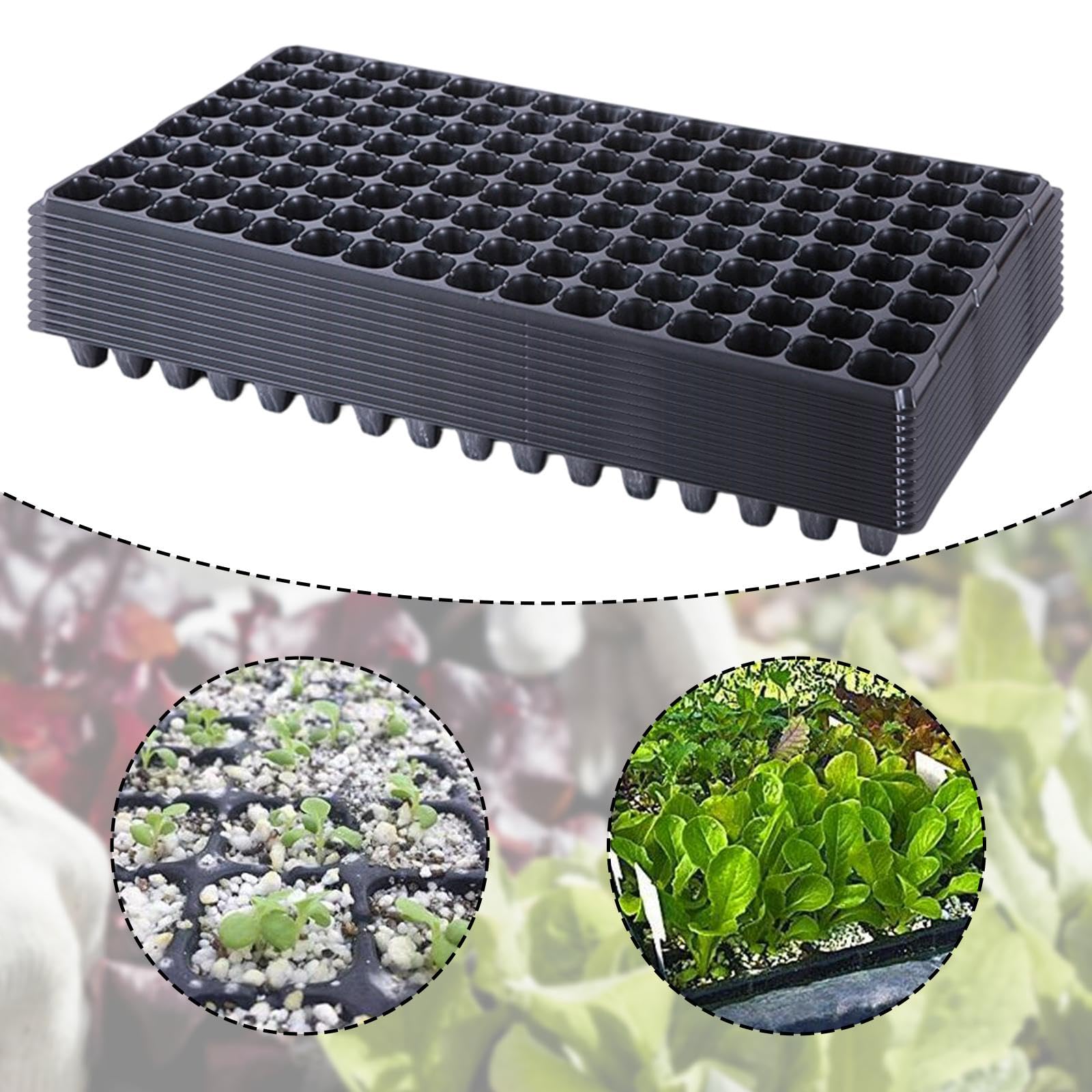 Homyl 12 Pezzi Vassoi per Piantine da con Vasi di Avviamento per Piantine Alveolari, Vasi di Propagazione Portatili per Fiori, Giardino Interno, 128 Celle