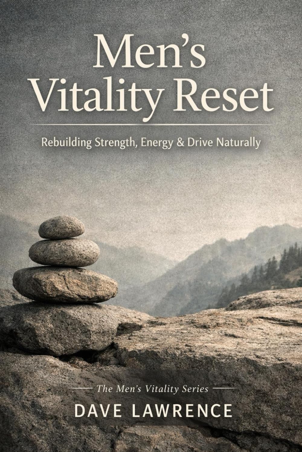 Men’s Vitality Reset: Rebuilding Strength, Energy & Drive Naturally (The Men's Vitality Series)
