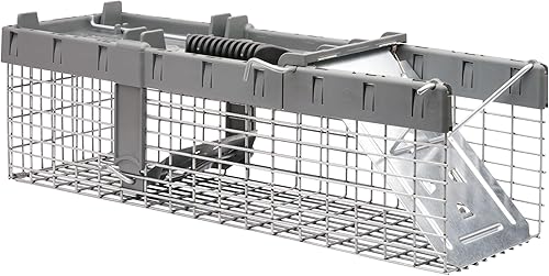 Miniatura 9 de Havahart Pequeña trampa para animales de captura y liberación humana de 1 puerta para ardillas, comadrejas, ardillas y otros animales, captura y