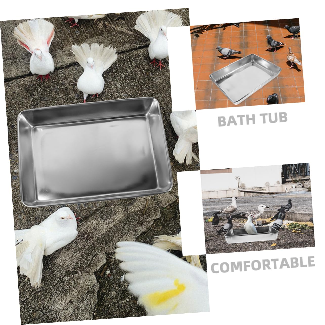 Vogeltränke Edelstahl mit Glatten Kanten Tiefer Edelstahl Badeschale für Vögel und Tauben Geeignet als Vogelkäfig Badewanne Zubehör zum Baden und Reinigen