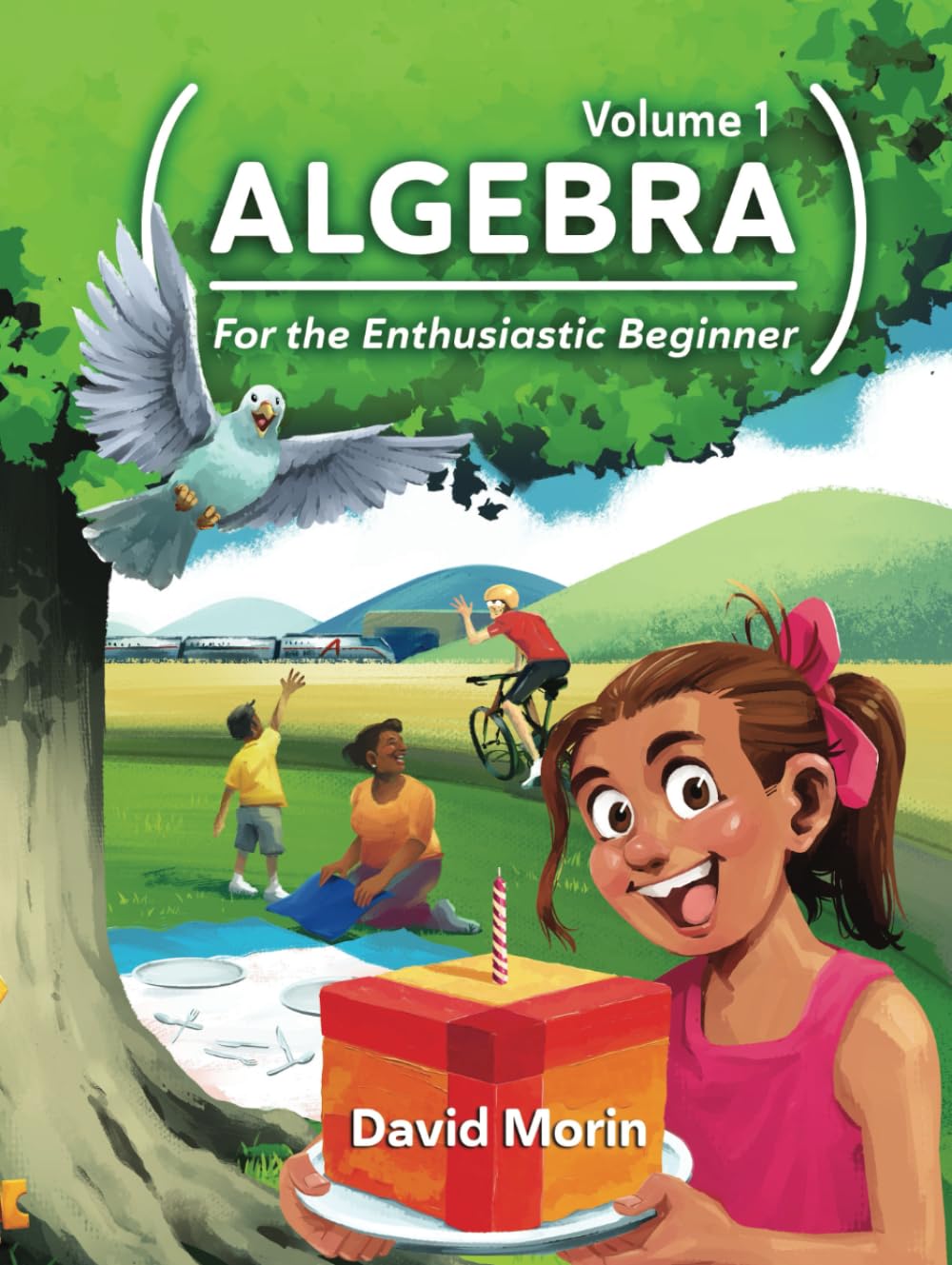Algebra: For the Enthusiastic Beginner, Volume 1