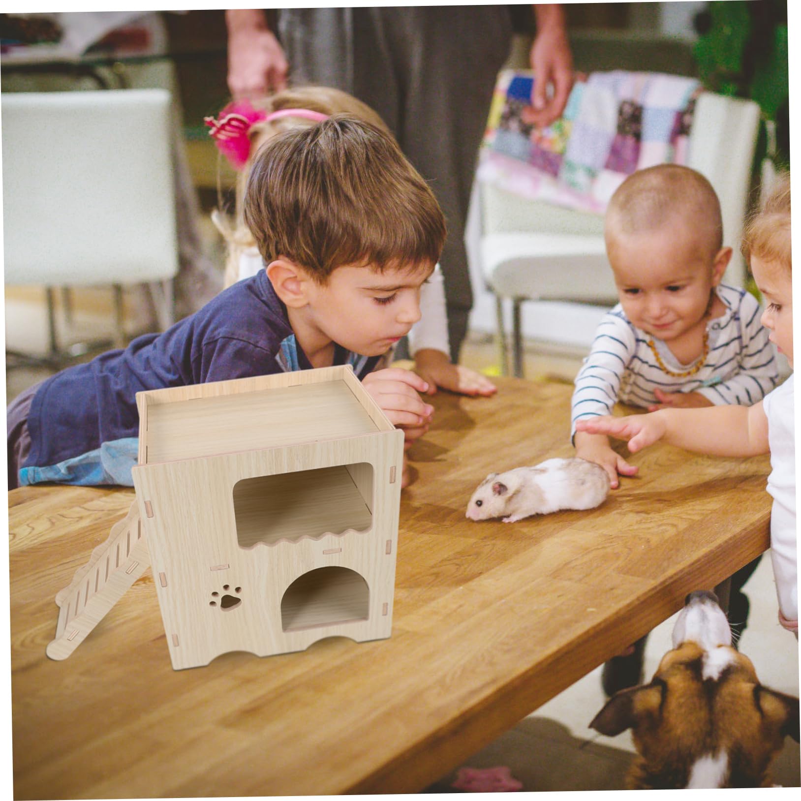 Hemobllo Maison en Bois Beige pour Hamster avec Échelle, Habitat de Repos et Jouet Anti-Ennui Adapté la Cage des Petits Animaux