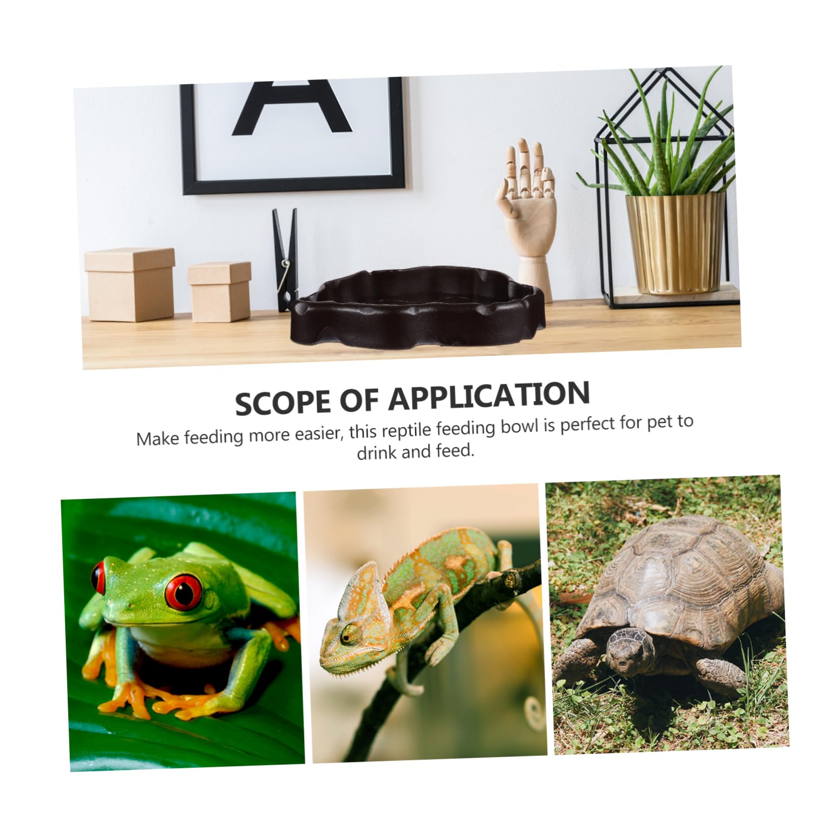 Cuenco de agua para reptiles Cuenco for alimentación de reptiles, 6 piezas Cuenco for reptiles Cuenco for mascotas Cuenco for alimentación de reptiles Plato for beber for reptiles Comedero de resina f