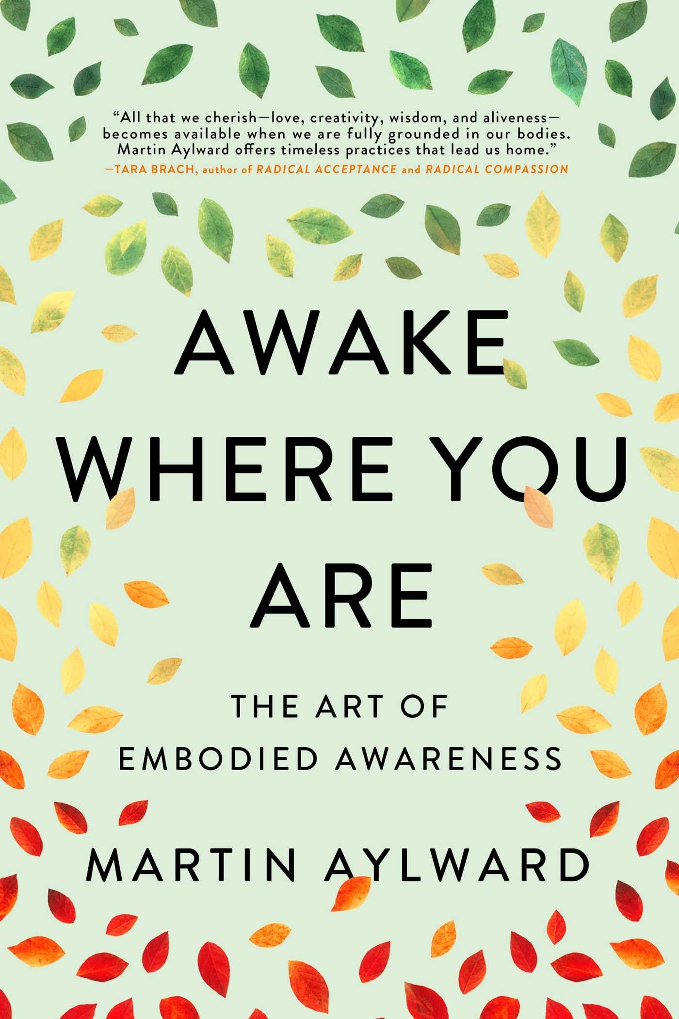 Buy Awake Where You Are — BookShops.in