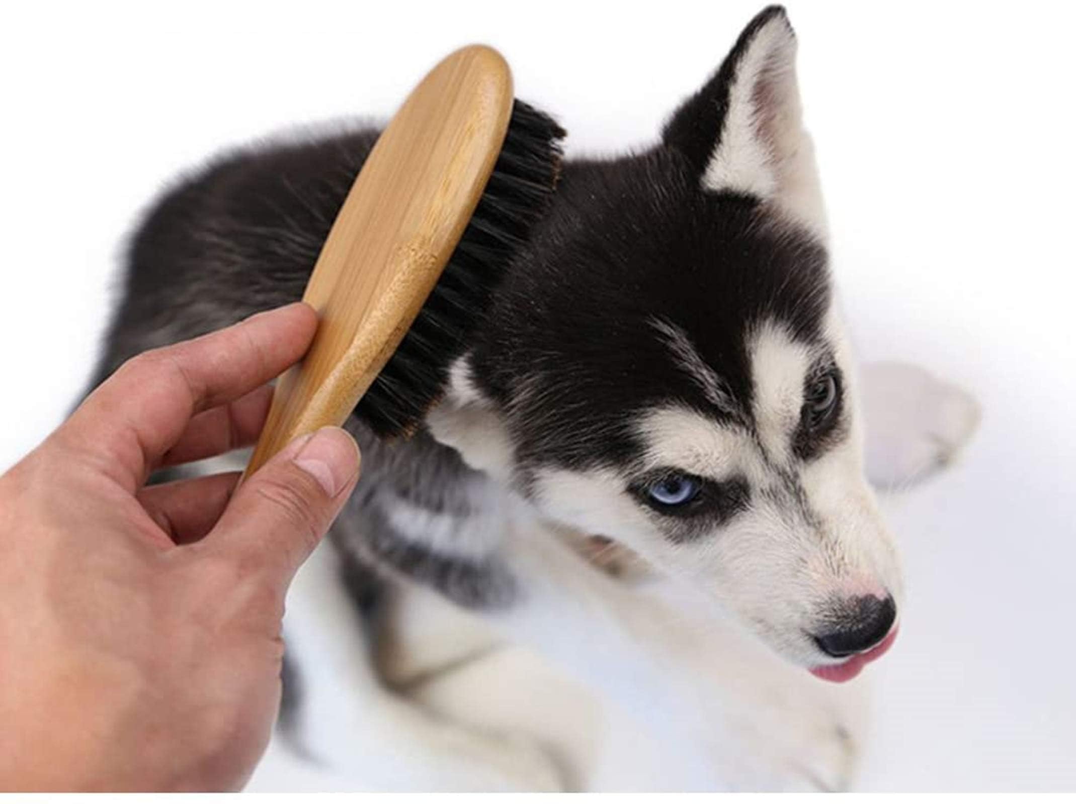 Spazzola per Animali con Setole Naturali in Bambù, per Cani e Gatti | Peli Corti e Lunghi, Toelettatura Delicata con Effetto Massaggio