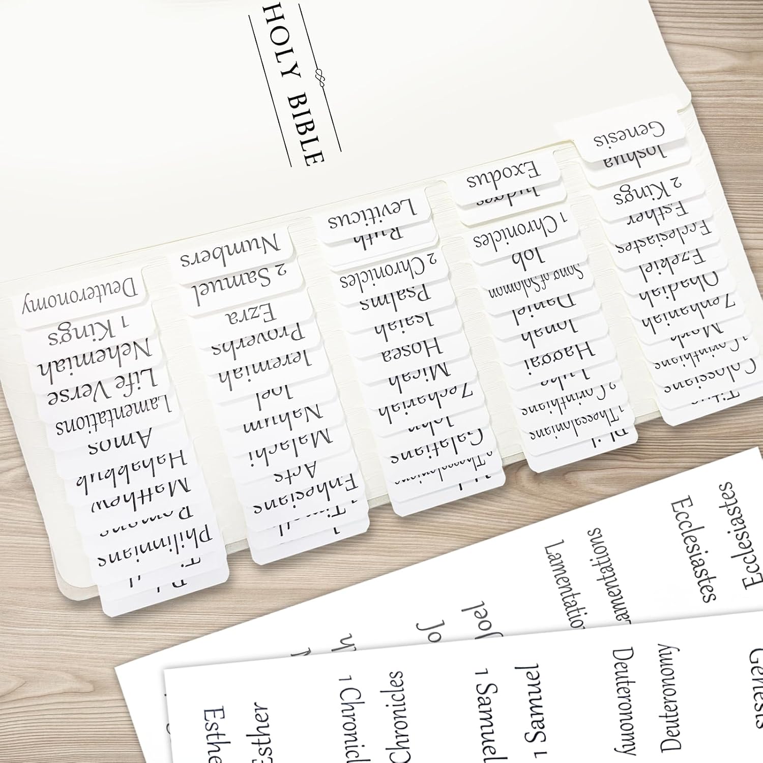 Amazon.com : White Bible Tabs for Women/Men/Kids, Catholic Bible Tabs ...