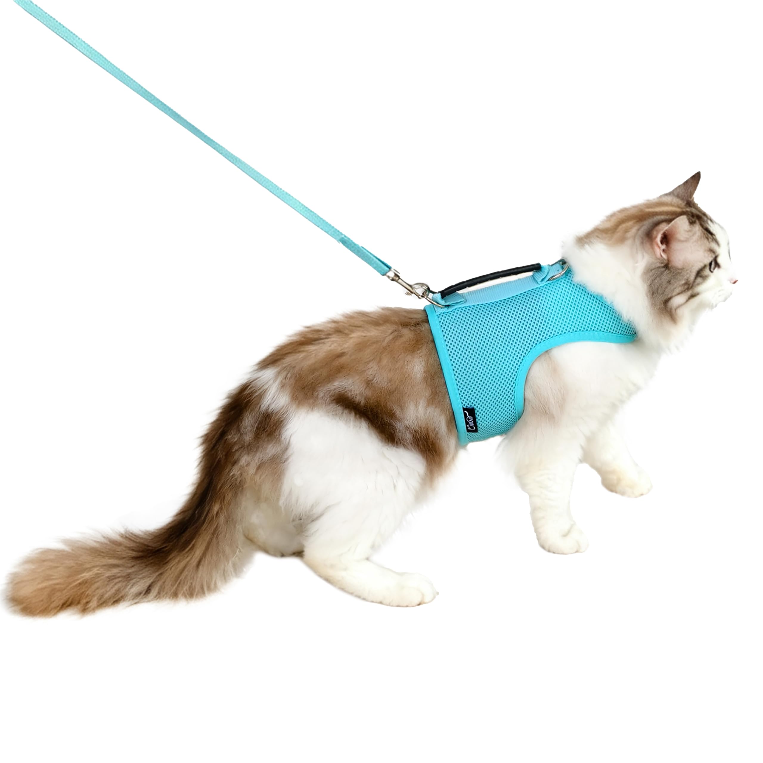 Cat Harness and Leash Set for Walking Escape Proof, Turquoise, Large