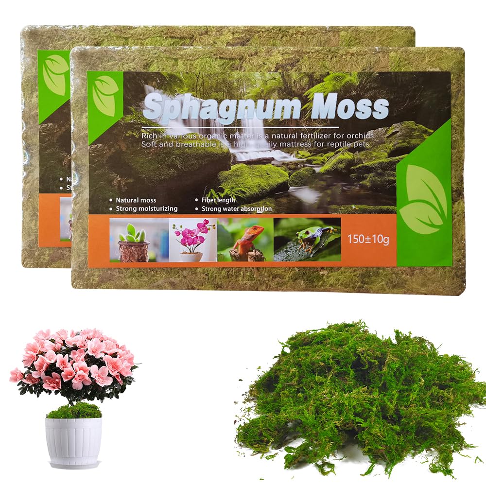 Musgo Sphagnum, 2 x 150 g Musgo para Orquideas, Musgo Natural Sphagnum Moss, Sustrato Orquideas Sustrato Bonsai para Orquídeas, Plantas, Enraizamiento de Esquejes, Reptiles