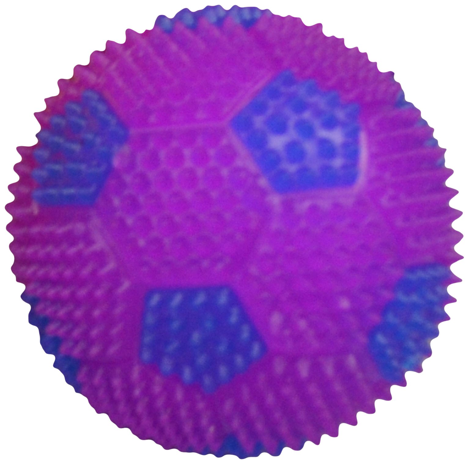 Bouncy Soccer Ball Dog Toy 2 6-Inch