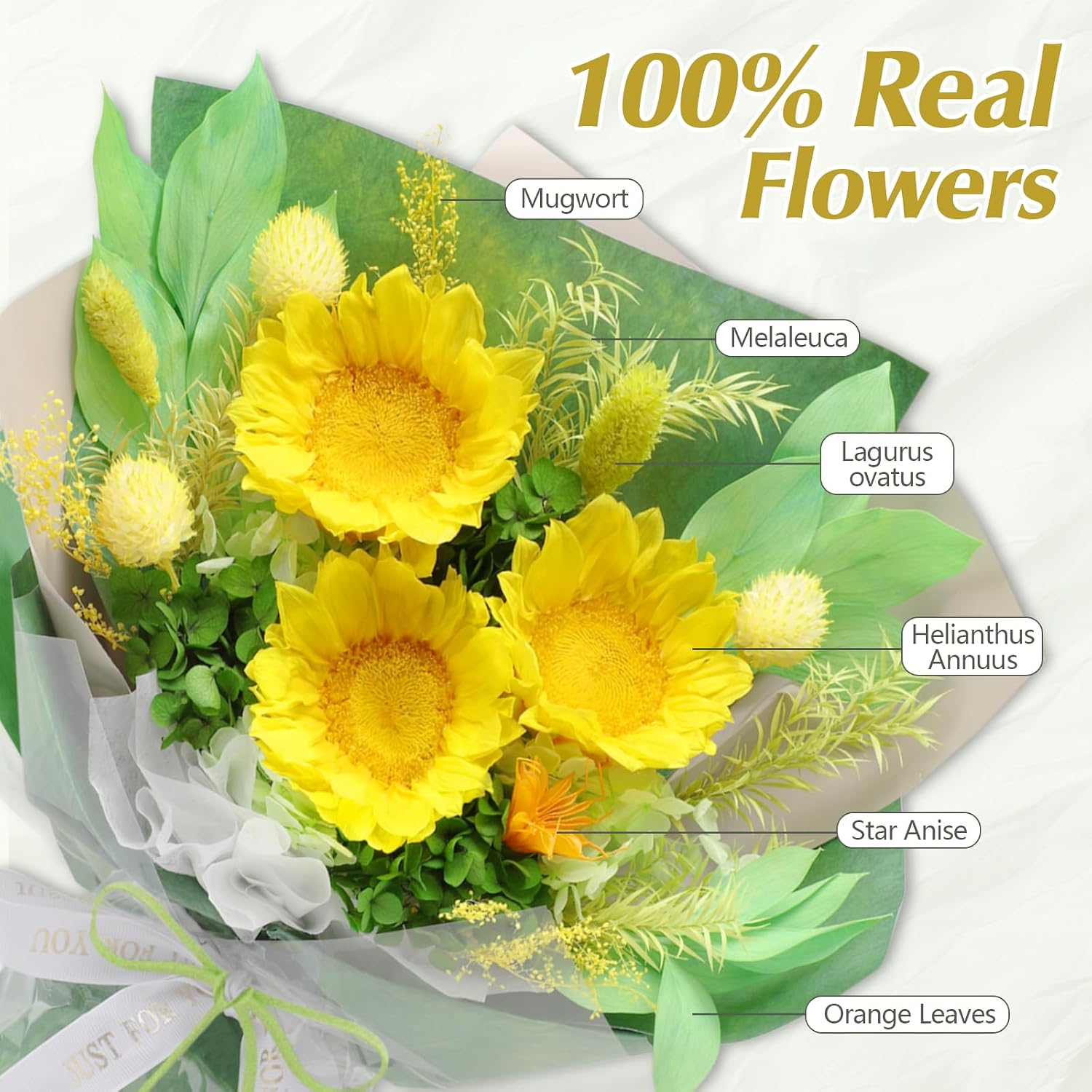 Casaido Preserved Flowers for Delivery, Mothers Day Sunflower Bouquets with Necklace, Forever Flowers Anniversary Birthday Gifts for Women Mom Wife Girlfriend, Eternal Flowers for ValentinesChristmas