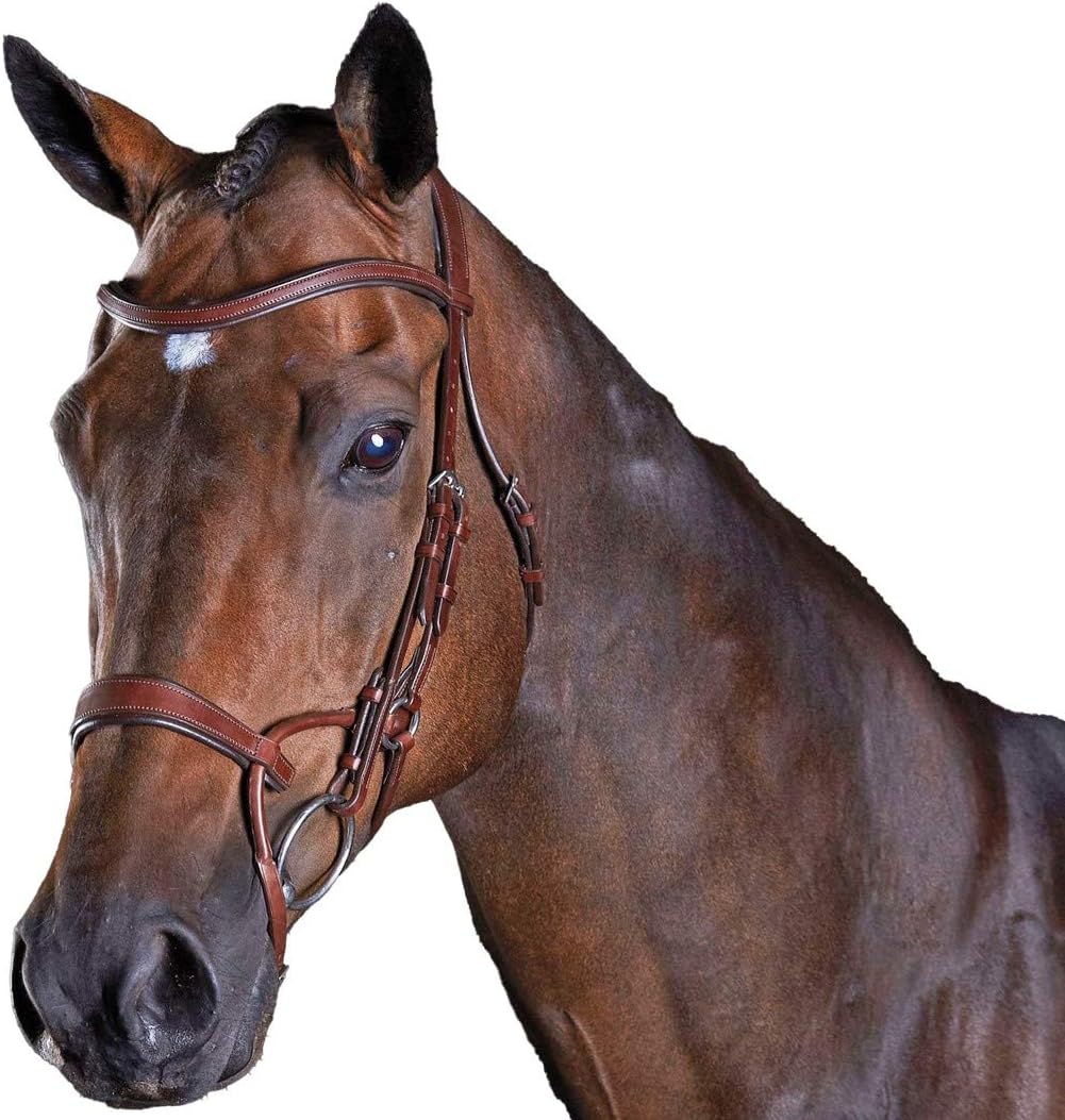 Collegiate ComFiTec Training Bridle