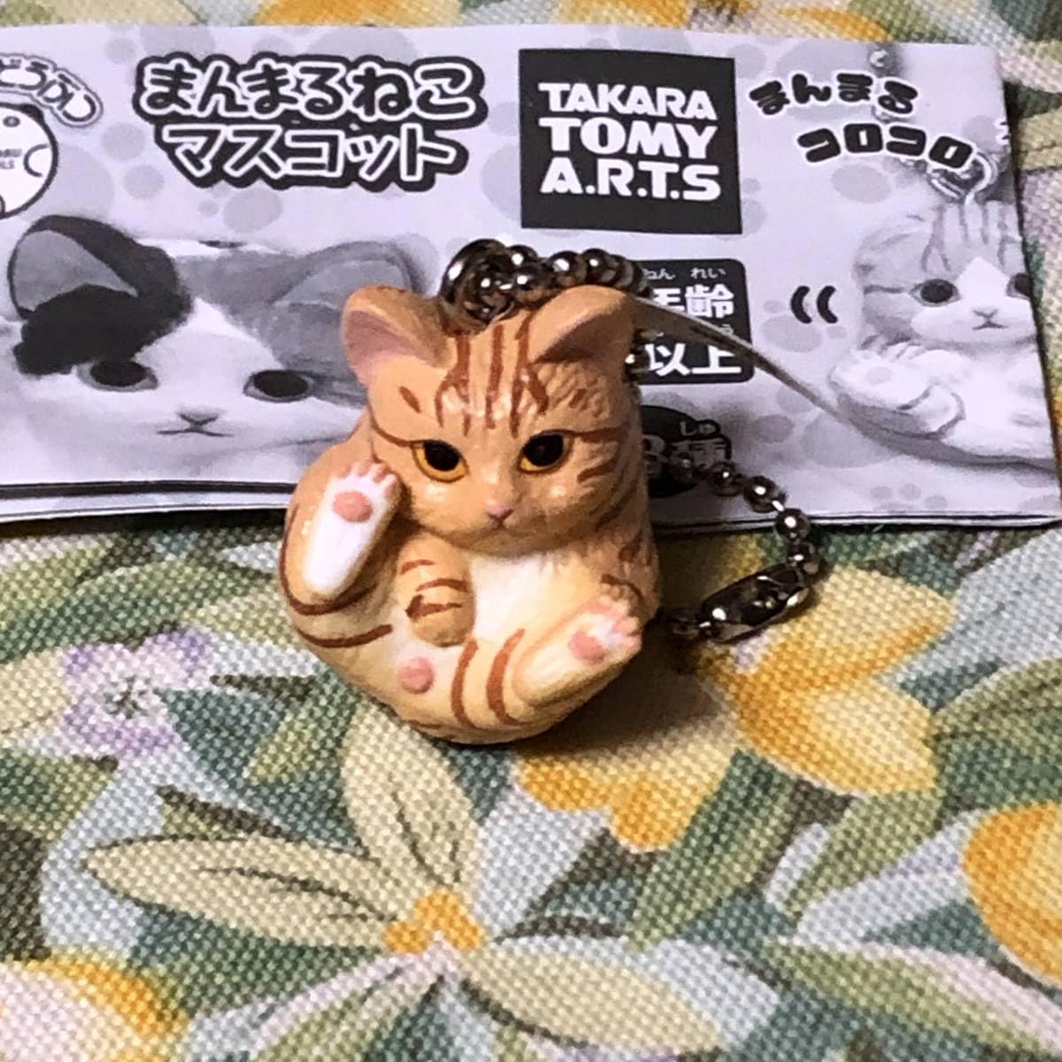 Amazon.co.jp: 無 茶トラ まんまるねこマスコット ガチャ/猫/cat