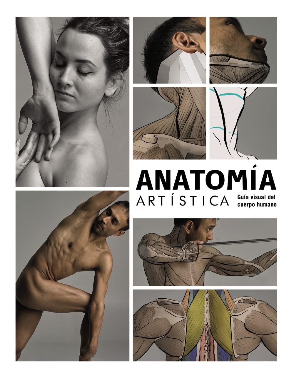 Anatomía artística: Guía visual del cuerpo humano (ESPACIO DE DISEÑO)