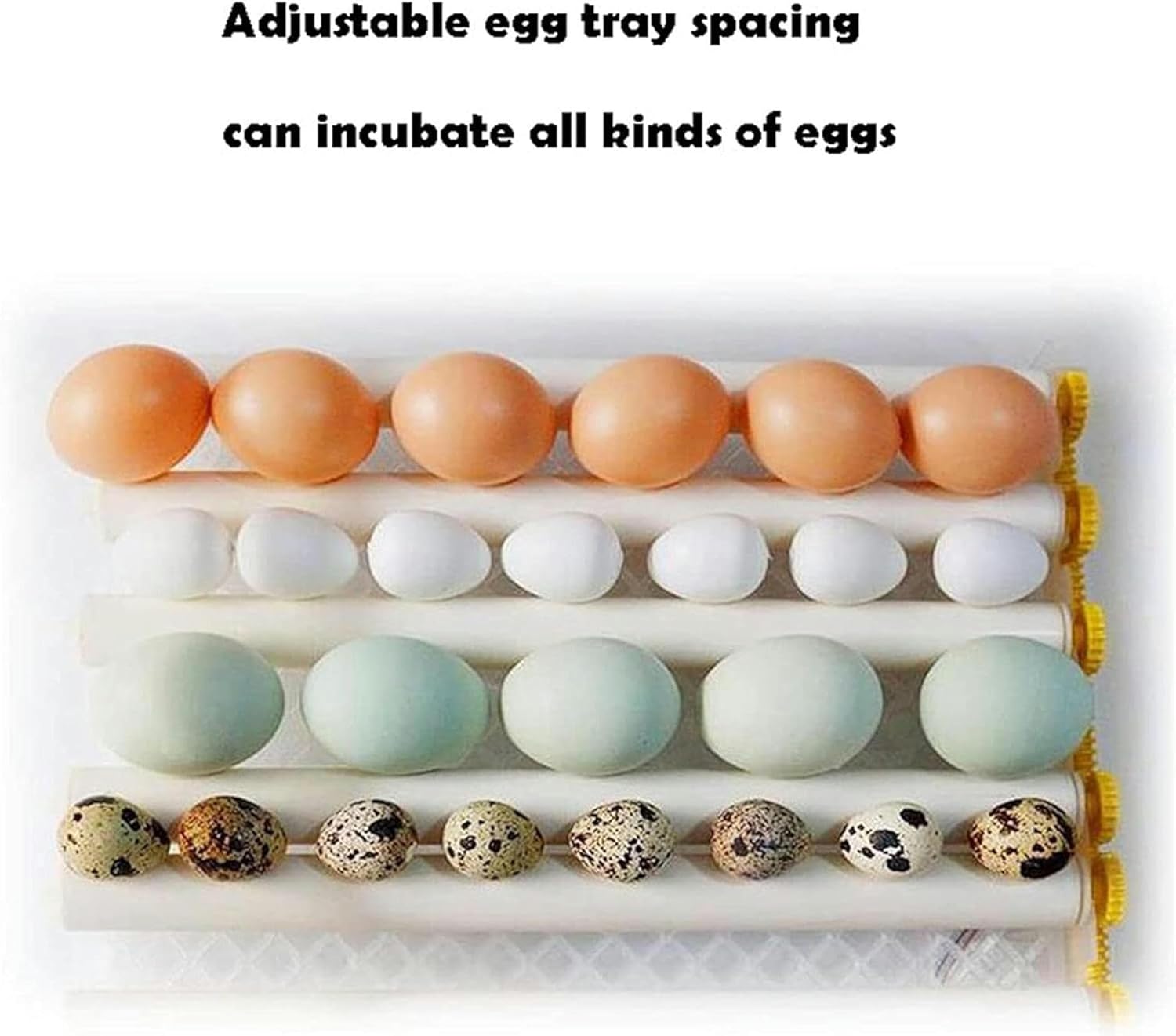 Egg Incubator, GRO?e Kapazit?t Egg Hatcher, Temperaturgesteuert Intelligenter Digital-Bildschirm-inkubator, Für Hühnergans Ente Tauben Wachtelvogel,Blau,72 Eggs-1