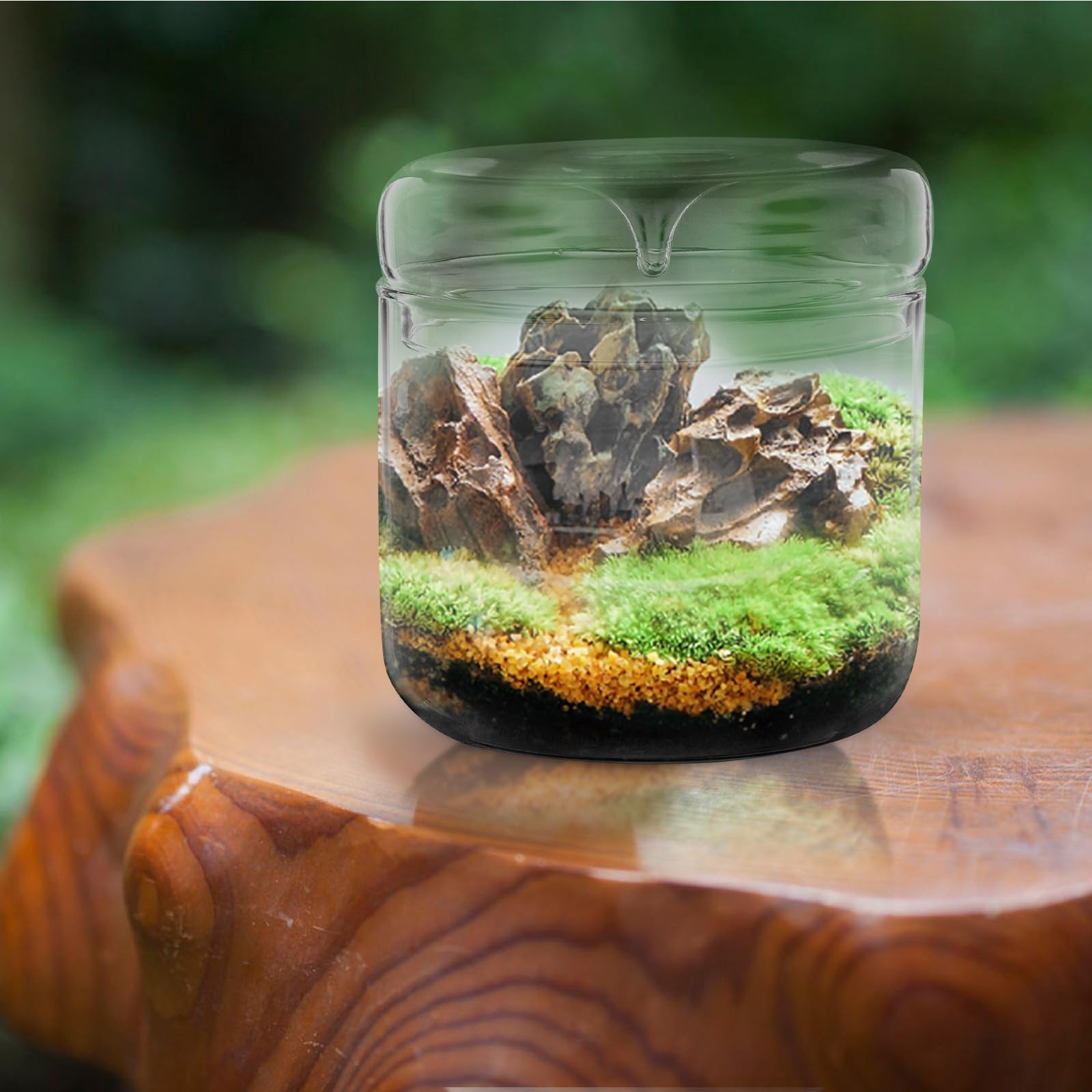 OSALADI Terrario in Vetro Trasparente 12x12 Cm per Piante, Contenitore Fai da Te Ecosistema Muschio, Bottiglia Micro Paesaggio Decorativa per Casa Ufficio Giardino