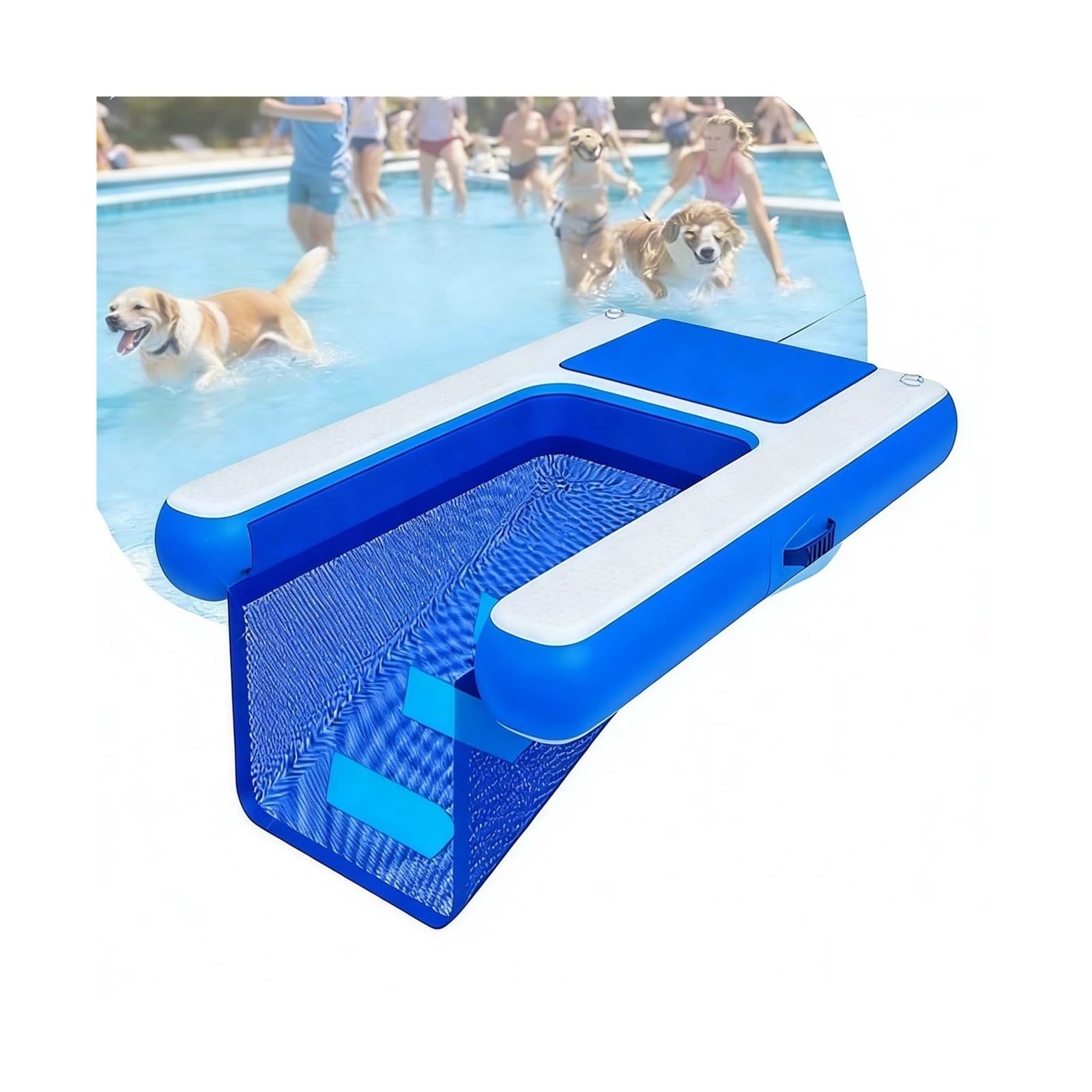 Plate-forme de quai à animaux compagnie flottante et rampe gonflable pliable pour chien