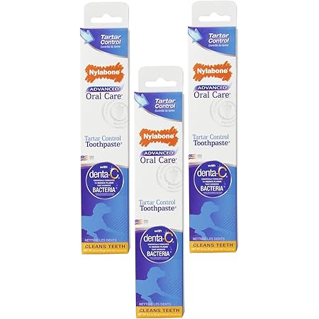 nylabone tartar control toothpaste