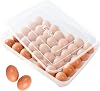 HANSGO Deviled Egg Containers with Lid, Deviled Egg Tray Holder Carrier with Lid for 24 Eggs for Home Party Kitchen Supplies Refrigerator Storage