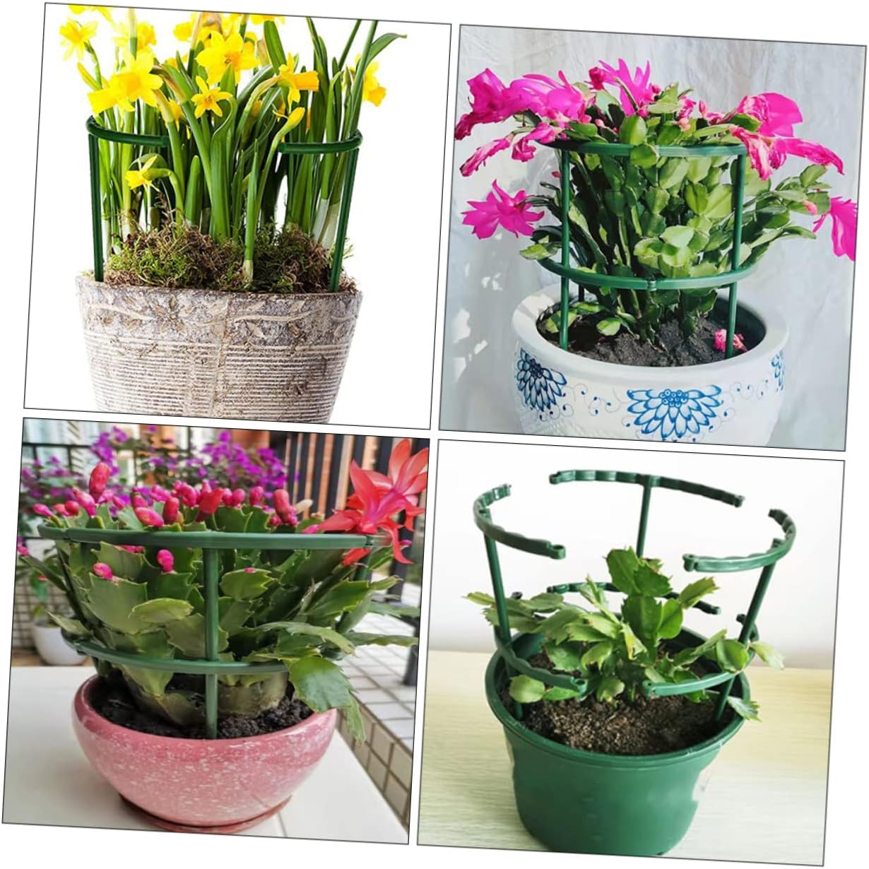 BESPORTBLE 30pcs Indoor Plant Support Stakes Moss Poles Climbing Racks for Tomatoes Cages Garden Trellis