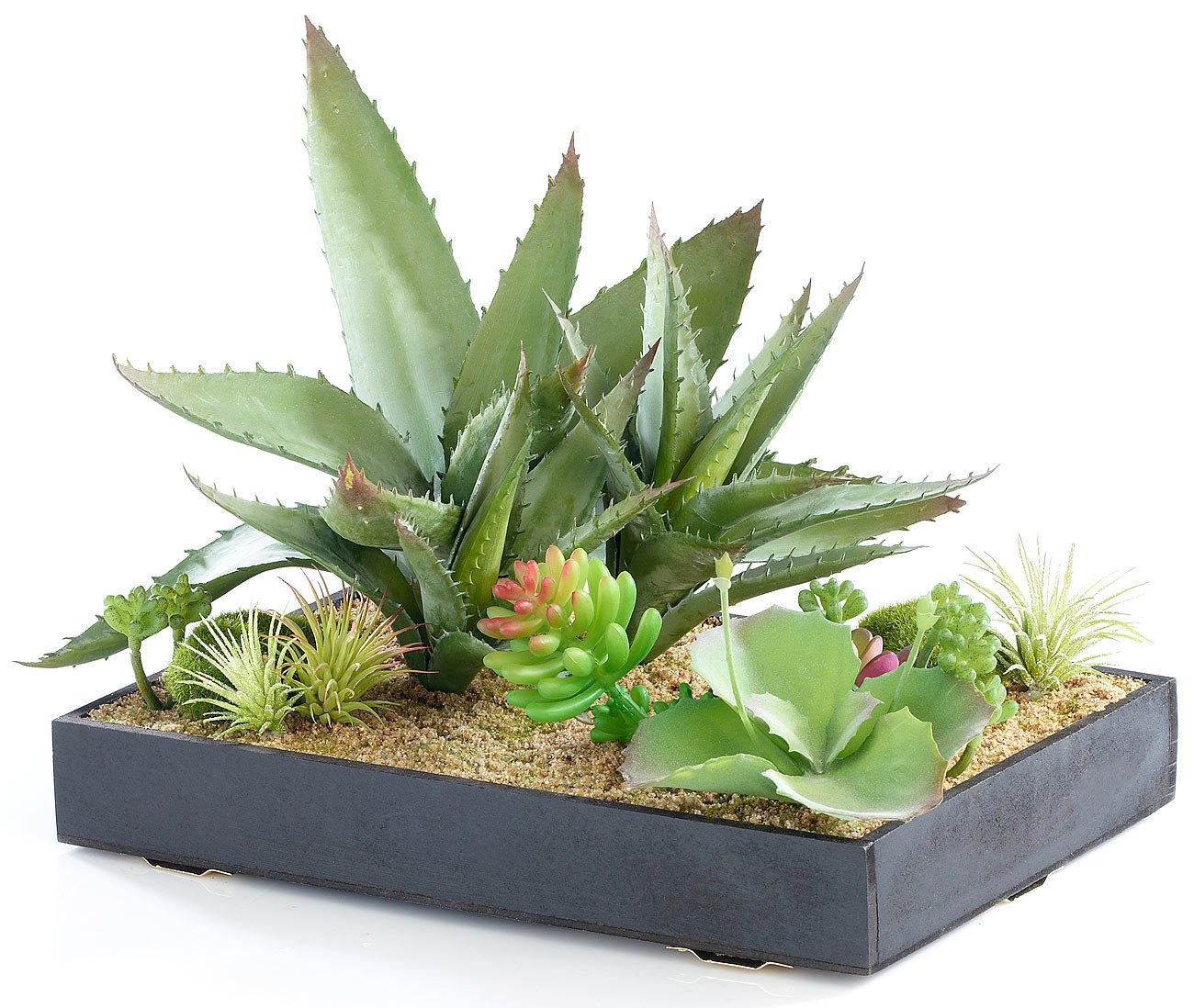 Emsa m5261900 Click & Grow Smart Garden 3 Jardín de Interior ...