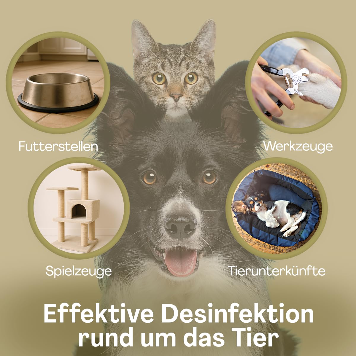 PROTECT Haustier Desinfektionsspray, 500 ml Hunde Desinfektion alkoholfrei für Katzen und Hunde, Desinfektionsmittel für Näpfe, Spielzeug, Transportboxen u.v.m., Geruchsneutralisierend