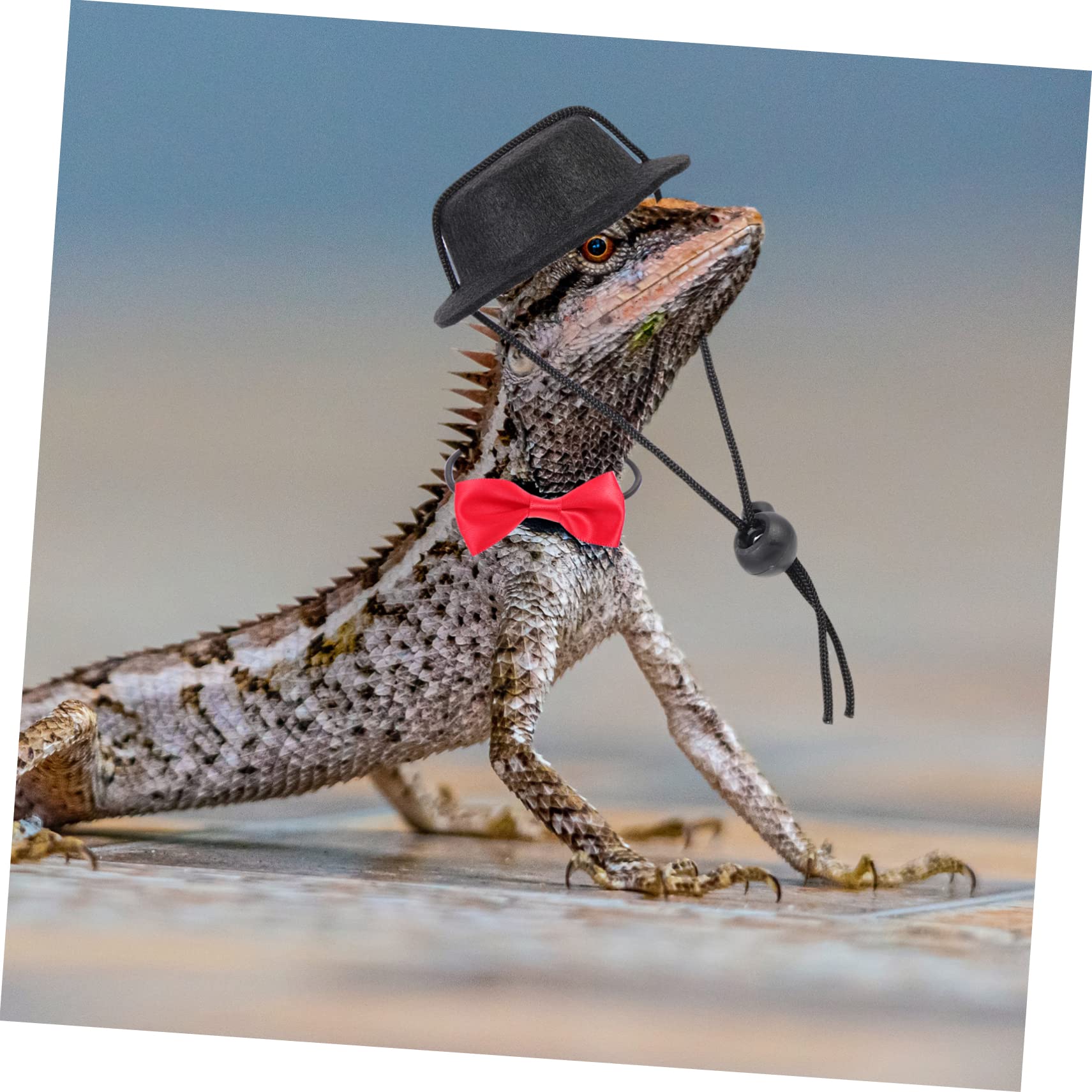 Angoily 4sets e Guinzaglio Per Lucertole Con Cappello Regolabile Per Passeggiate Accessori Per Rettili Per Gechi e Camaleonti Materiale Di Alta Qualità Stile Elegante Per Occasioni