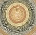 SAFAVIEH Washable Rug Outdoor Braided Collection - 8' Round, Multi, Handmade & Reversible, Non-Shedding & Easy to Clean, Ideal for Patio, Backyard, Mudroom (BRD308A)