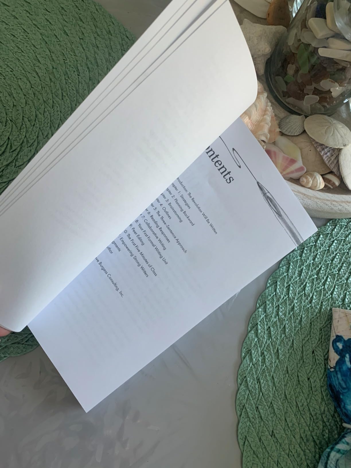 An Invaluable, Professional "Mentor Text" for ELA Educators 6th-12th Grade