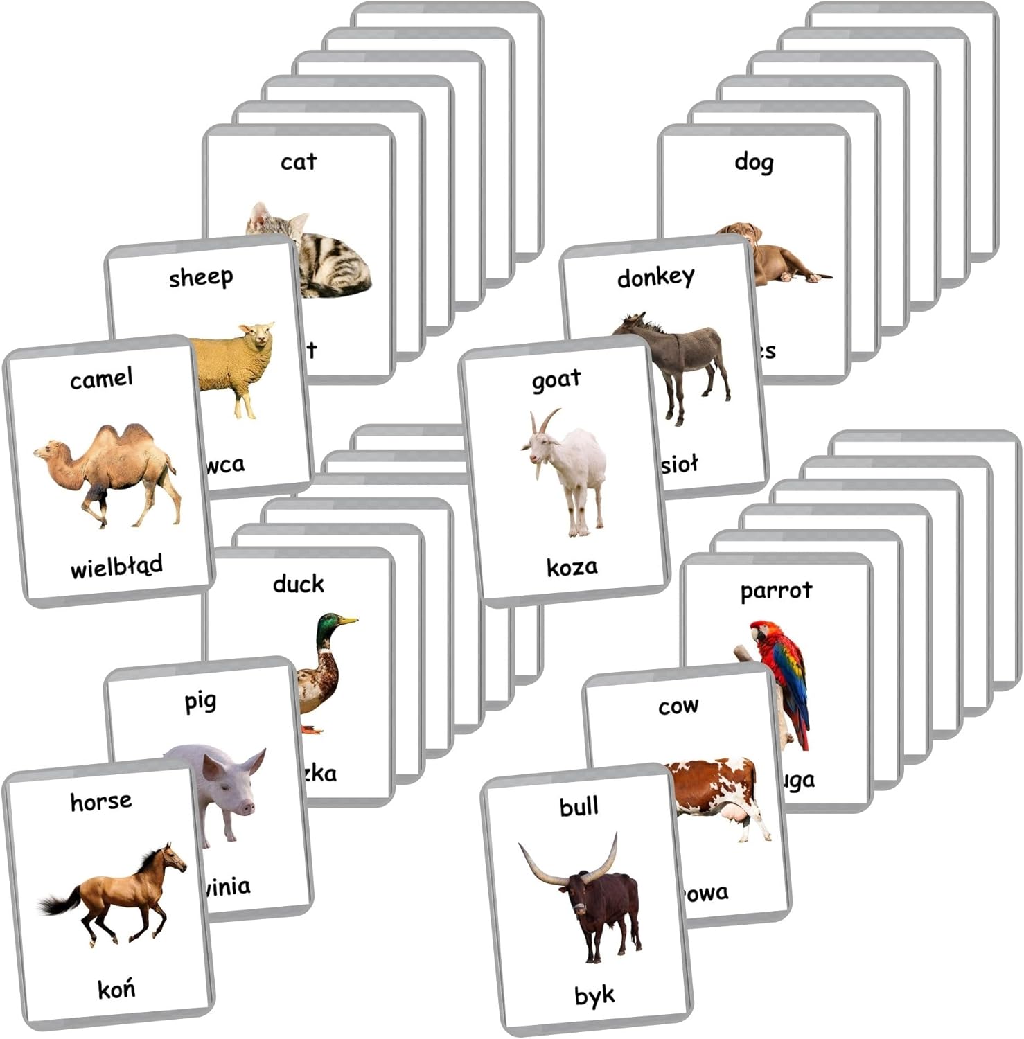 Polish English Bilingual Flash Cards | Laminated Flash Cards | Montessori Cards | Choose Your Set (Antonyms)