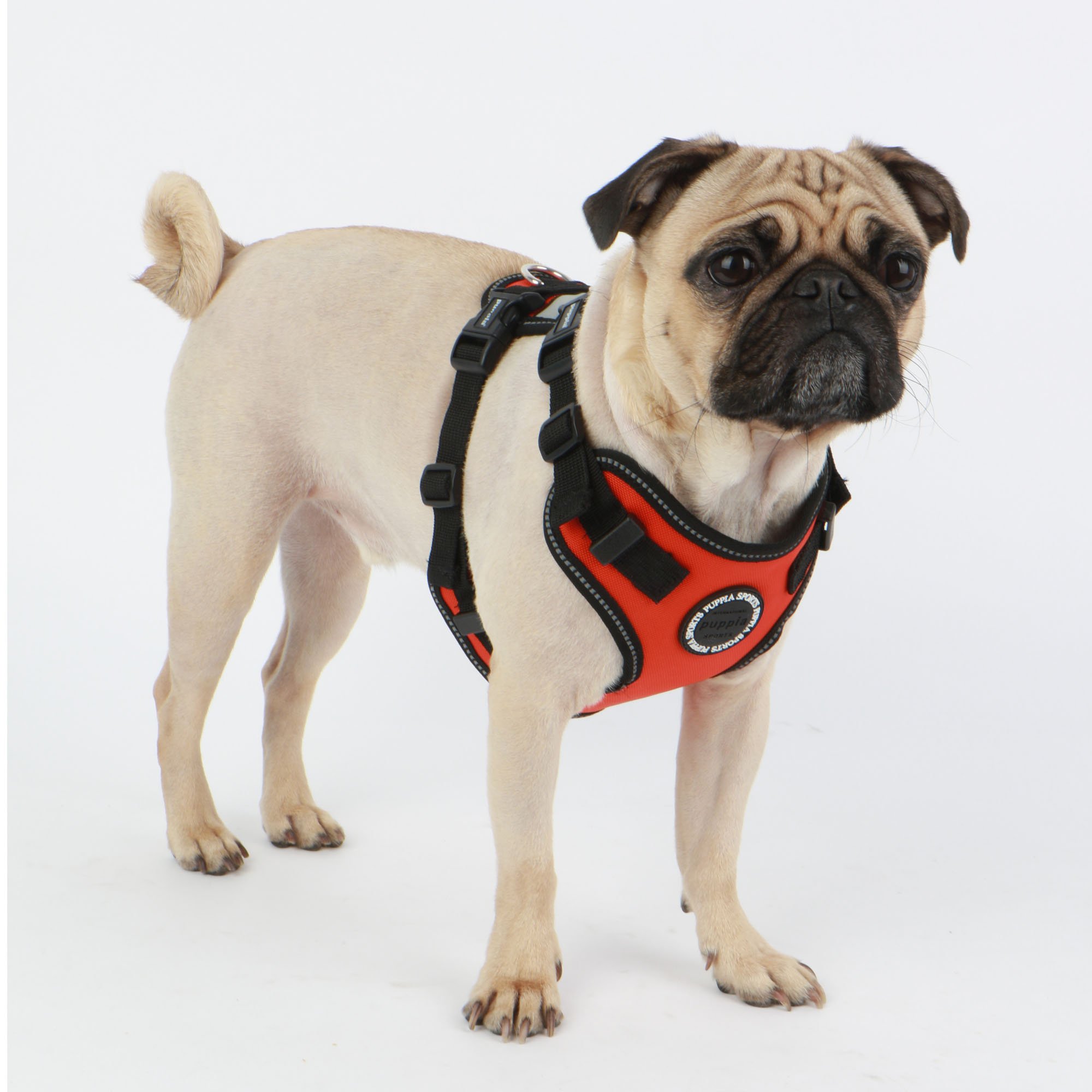 Puppia Orange Trek PLRA-HF9323-OR-S Harnais de sécurité F pour Animaux de Compagnie Taille S
