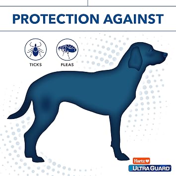 Hartz UltraGuard Flea And Tick Dog Spray, Kills And Repels Fleas And Ticks, 16 Ounce