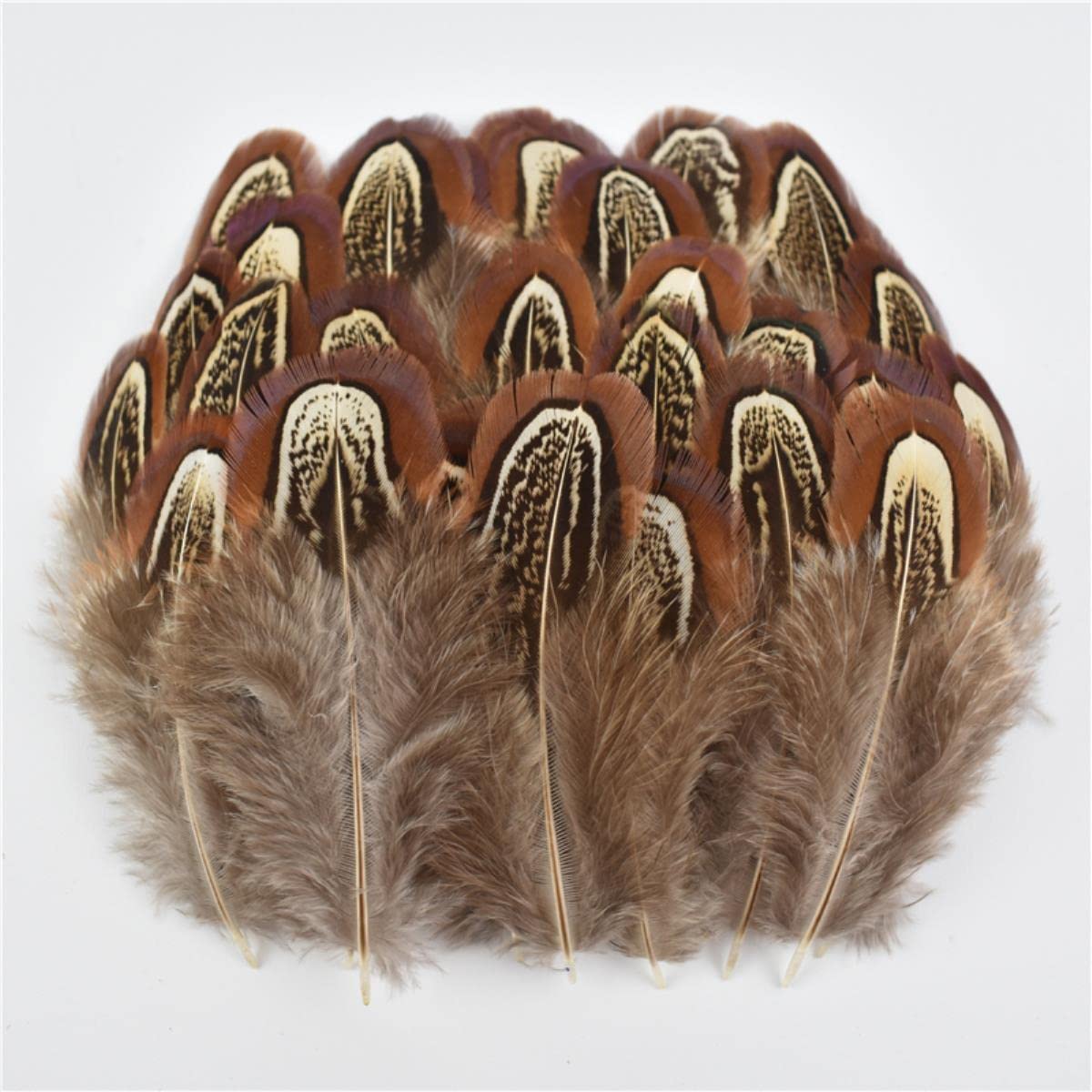 Natürliche Pfauenfasanenfedern, kleine Gänse- und Hühnerfedern, Federn, DIY-Handwerk, Party, Hochzeit, Zubehör, Schmuck, dekorativ, Größe 10–15 cm, 500 Stück