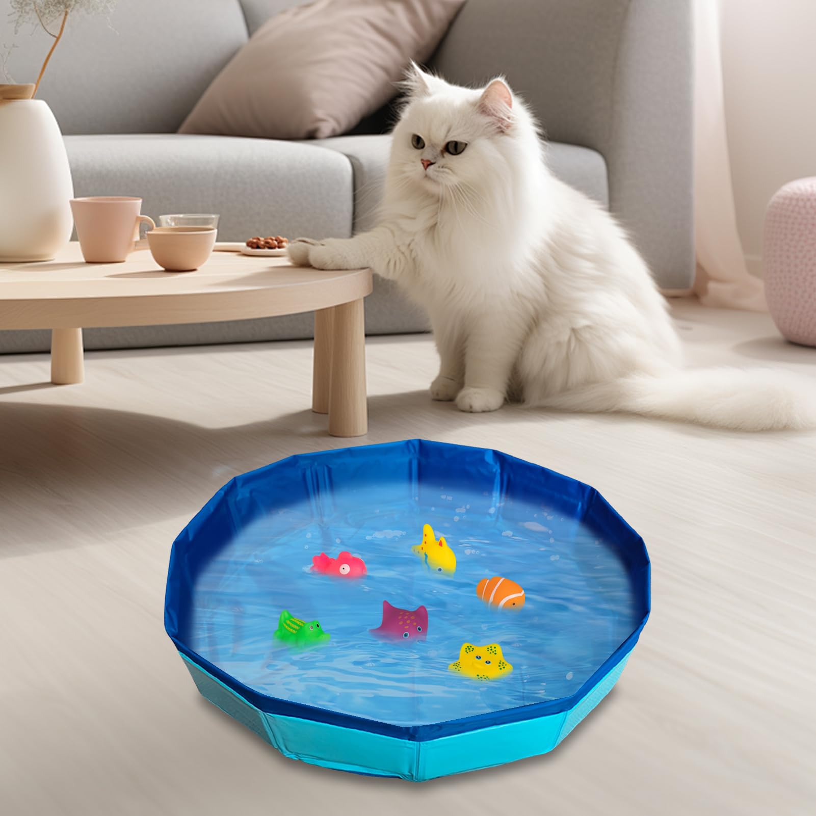 Piscine pour chat - 50 x 10 cm - Pliable - Avec 6 jouets - Mini piscine pour chat et chien - Jouet d'eau - Mini piscine pour l'été (B)