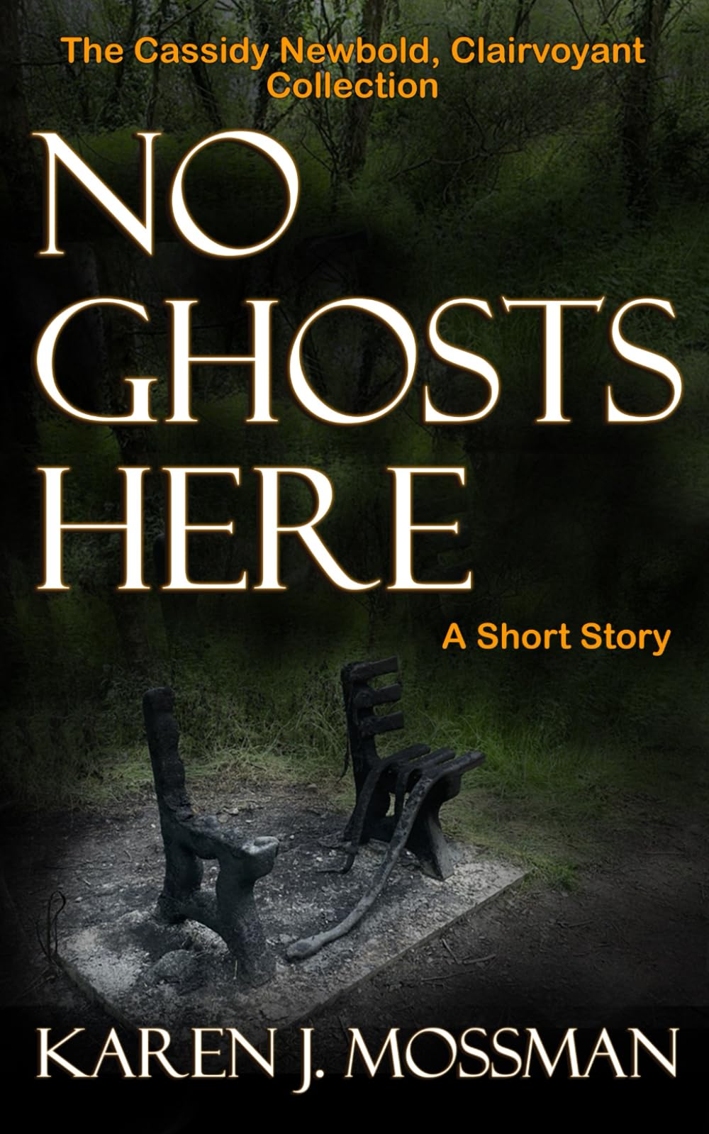 No Ghosts Here (The Cassidy Newbold Clairvoyant Collection)