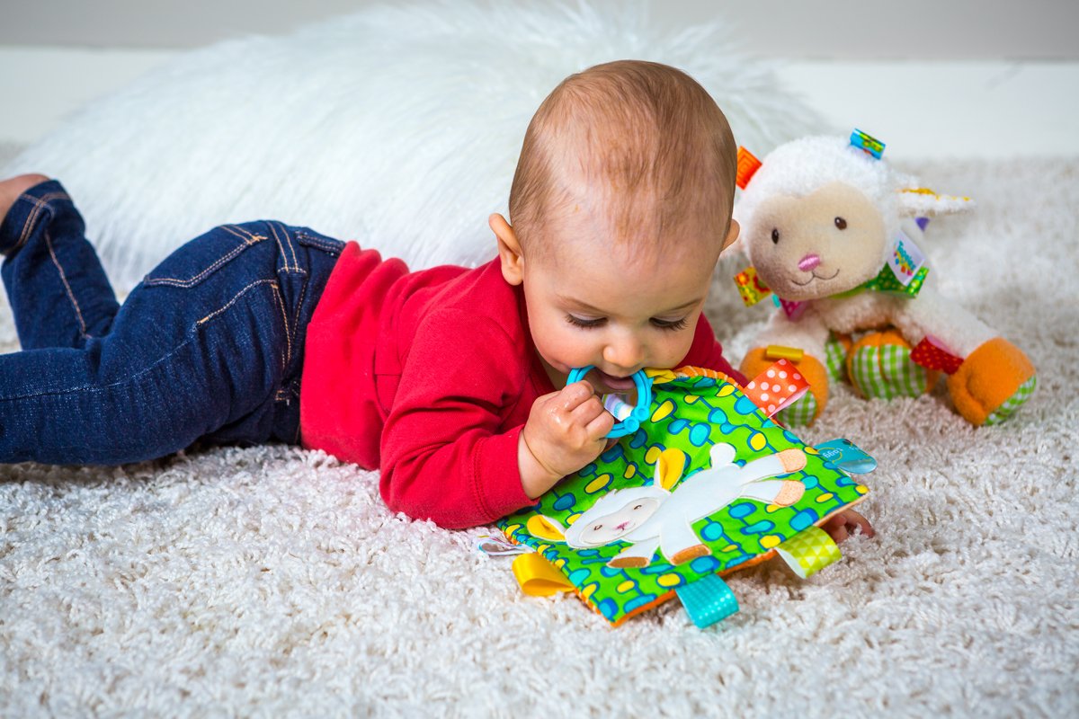 Taggies Crinkle Me Baby Toy, Sherbet Lamb (Pack of 2)