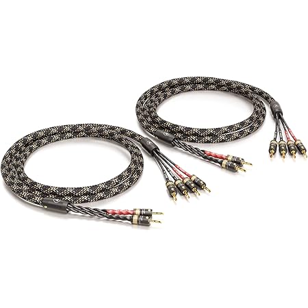 YuanYong 13 AWG Lautsprecherkabel Mit Bananensteckern - OFC Kupfer & Magnetringe Für HiFi Sound