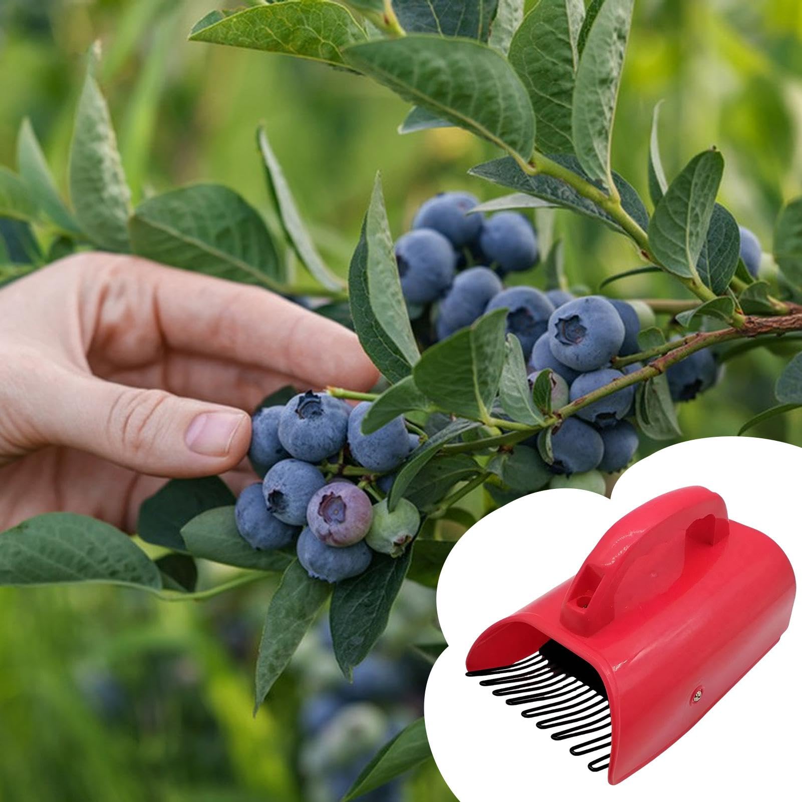 Blueberry Rake Scoop | Rust Proof Safe Pick-up Tools - Fruit Harvester Blueberry Rake Efficient for Cockscomb Cloverleaf Cloudberry Elderberry