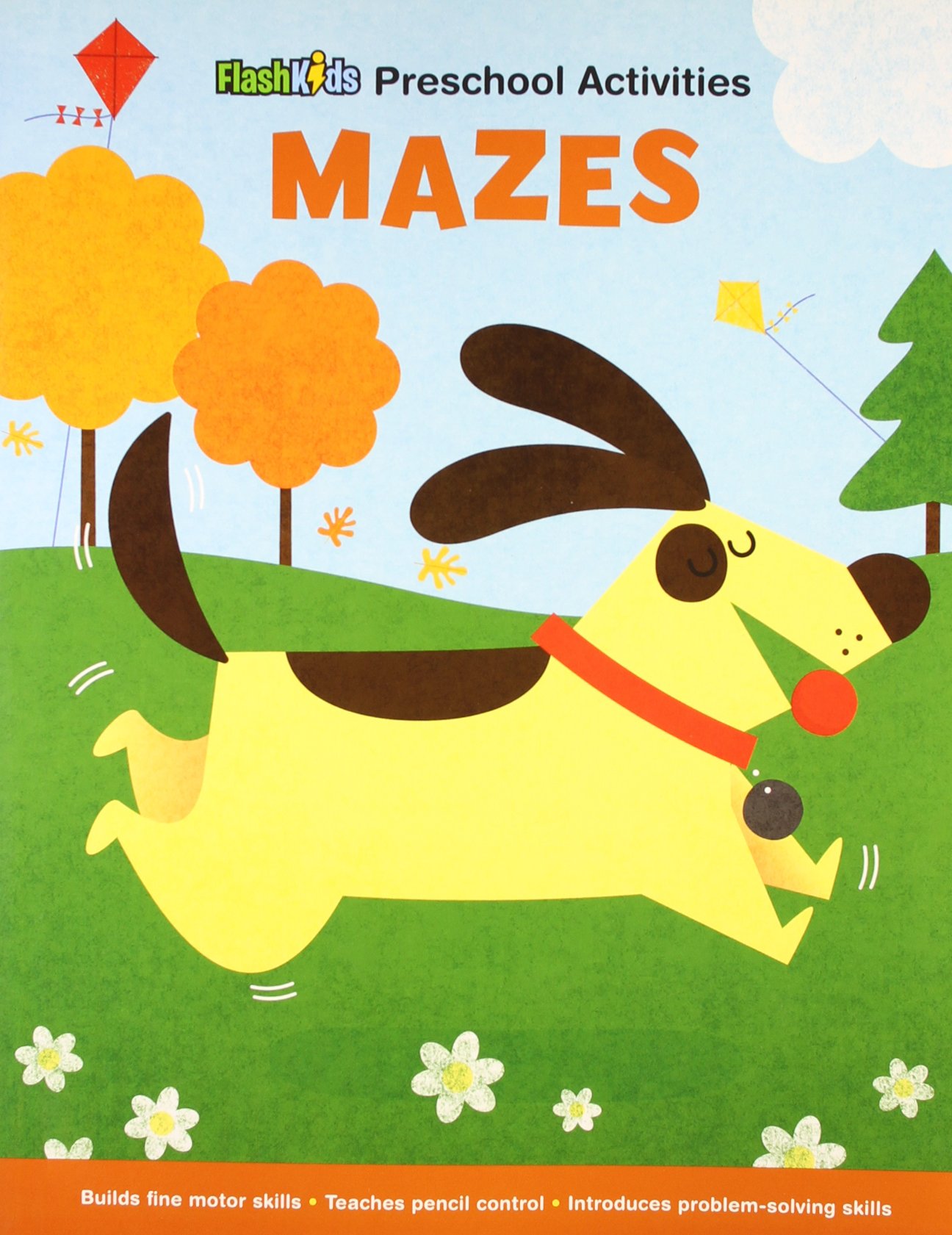 Mazes (Flash Kids Preschool Activity Books)