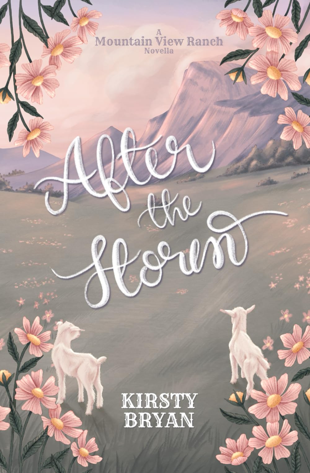 After the Storm: A Mountain View Ranch Novella