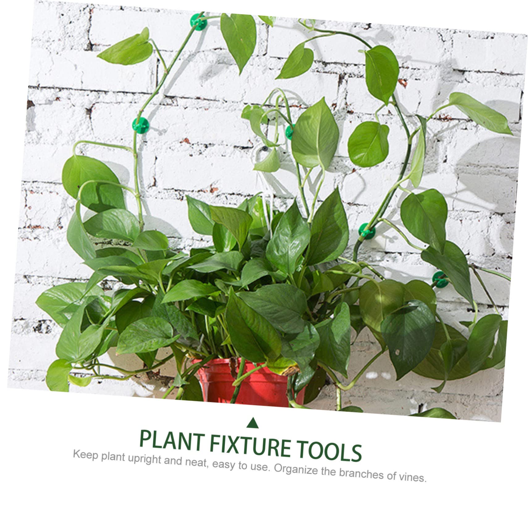 Sosoport 5 Sätze Kletterclip Für Pflanzen Hängender Pflanzer Hängende Künstliche Pflanzen Steht Tomatenpflanzenklammern Klebriger Rebenstützhaken Wand Gartenclips Green Abs 50 Stück * 5