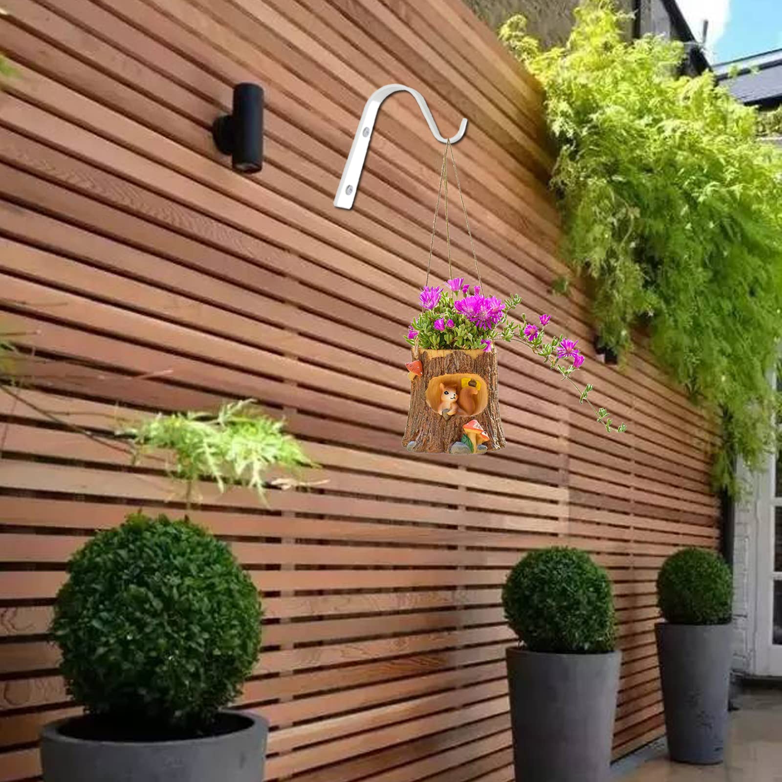 Support Mural Plantes Forgé Colibri – Charge 15,9 Kg, Crochet Solide Jardin & Intérieur