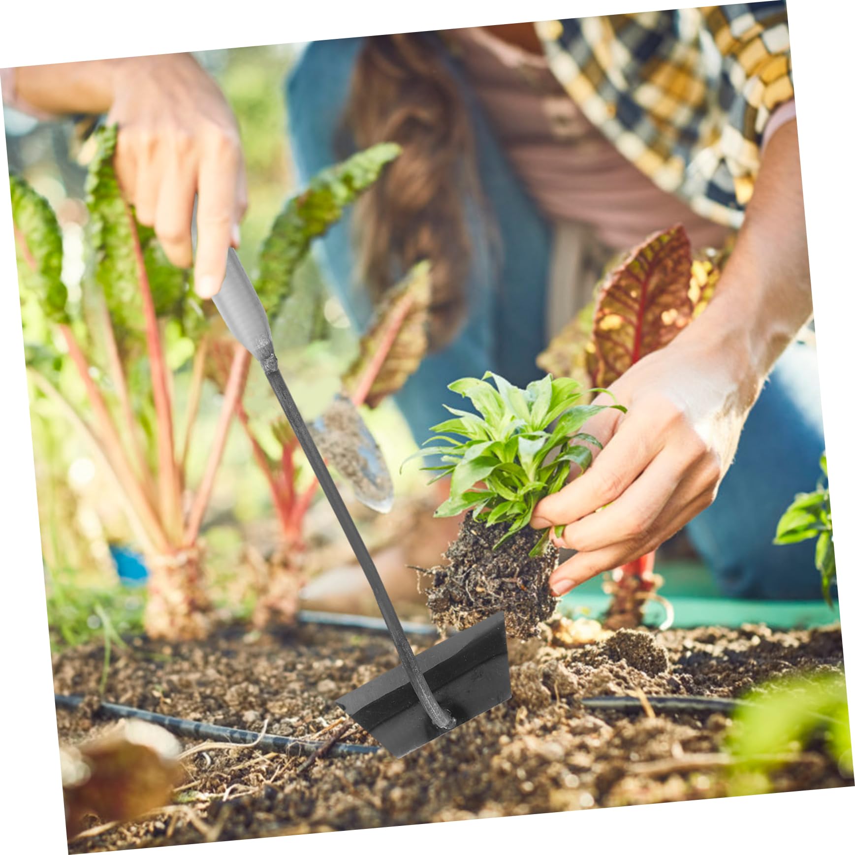 Abaodam 2pcs Steel Weeding Hoe Rake Garden Tool for Weeding Cultivating Hoes for Agriculture Portable Small Set