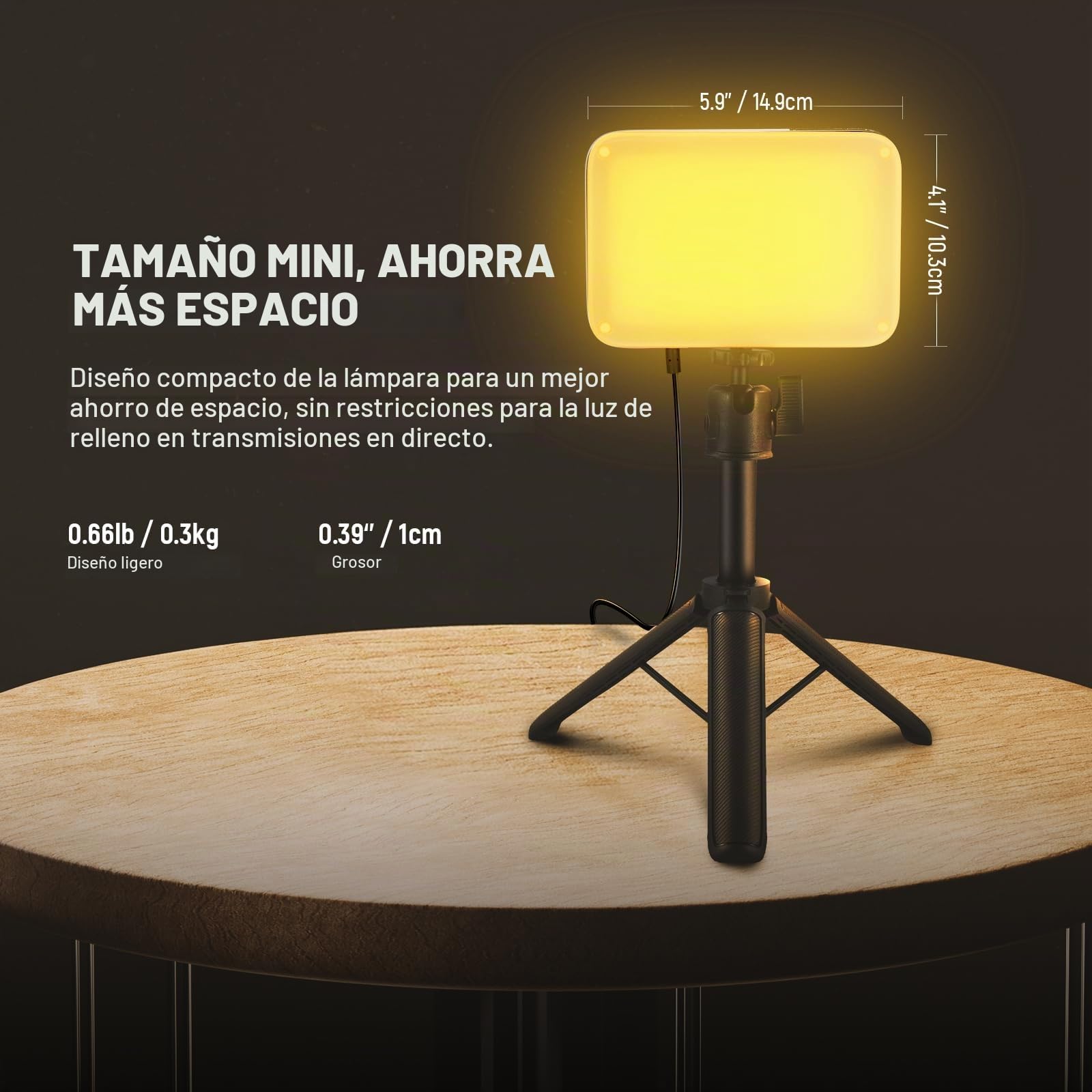 NEEWER Basics 2Pack Panel Video LED Escritorio, Kit Videoconferencias Foco Luz con Trípode y Filtros para Móvil Cámara Web Portátil Zoom Llamadas Maquillaje Grabación Selfies, Bicolor Regulable, BP66