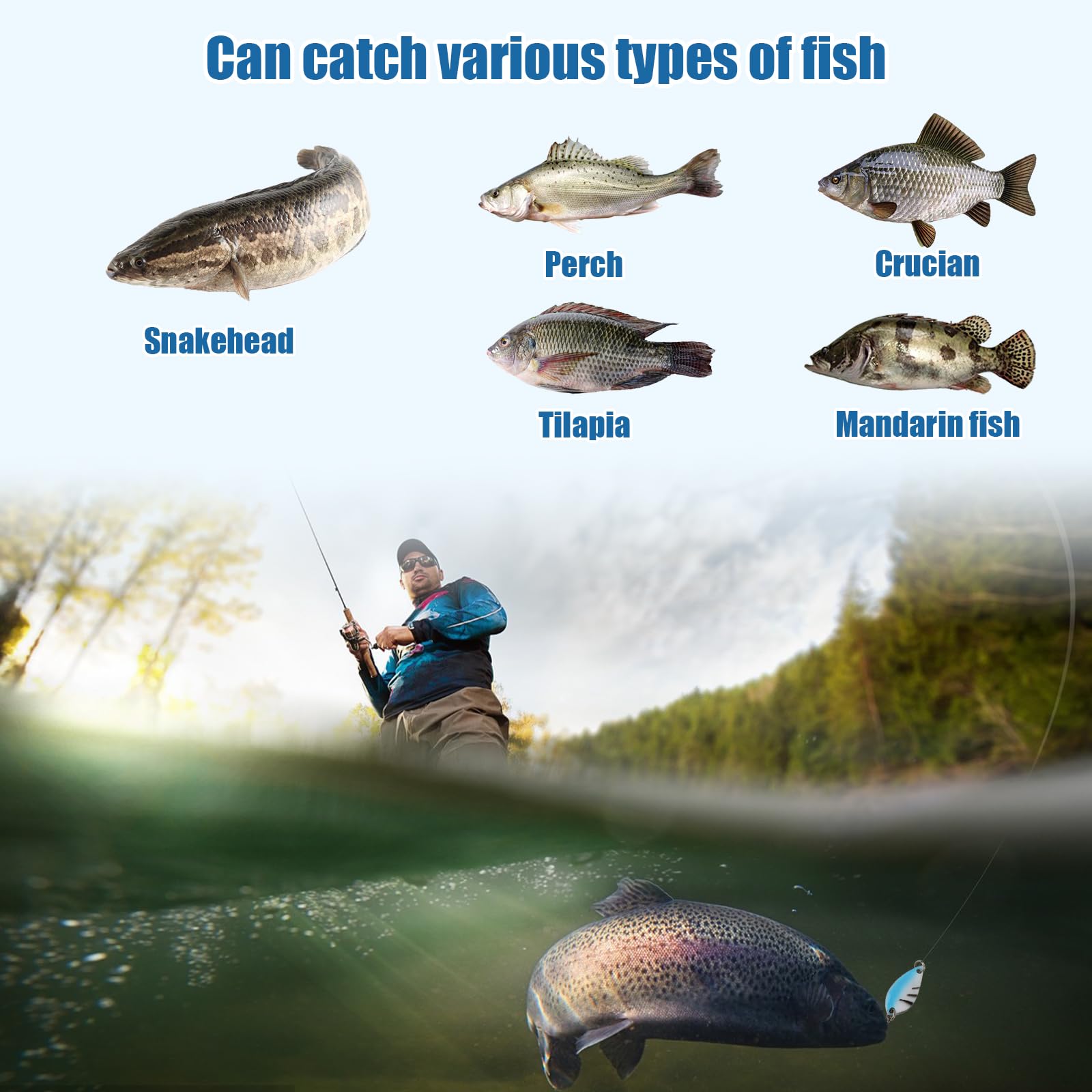 Kit De 12 Leurres De Pêche – Cuillers 5g En Métal, Boîte De Rangement Incluse – Pour Truite, Perche, Saumon, Brochet – Eau Douce Et Mer