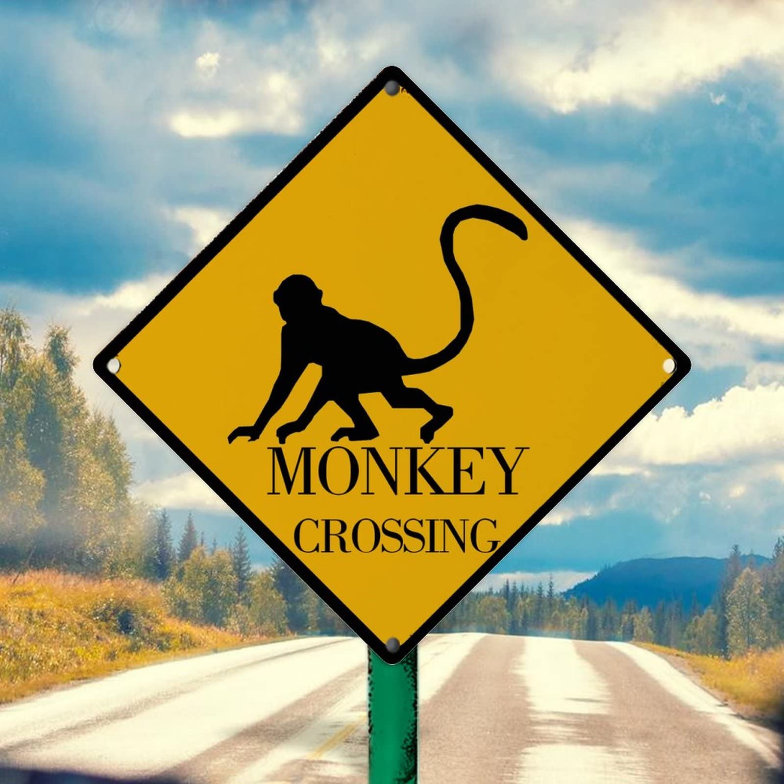 Amazon.com: Caution Monkey Xing Retro Vintage Tin Metal Sign