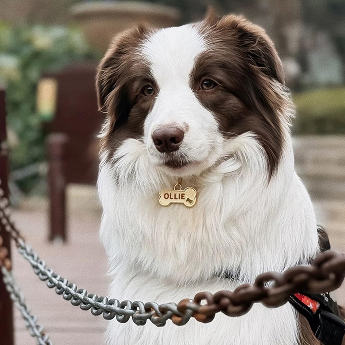 Dogs ID Tags Personalized Front and Back Engraving Brass Bone Shape Small.. image 3